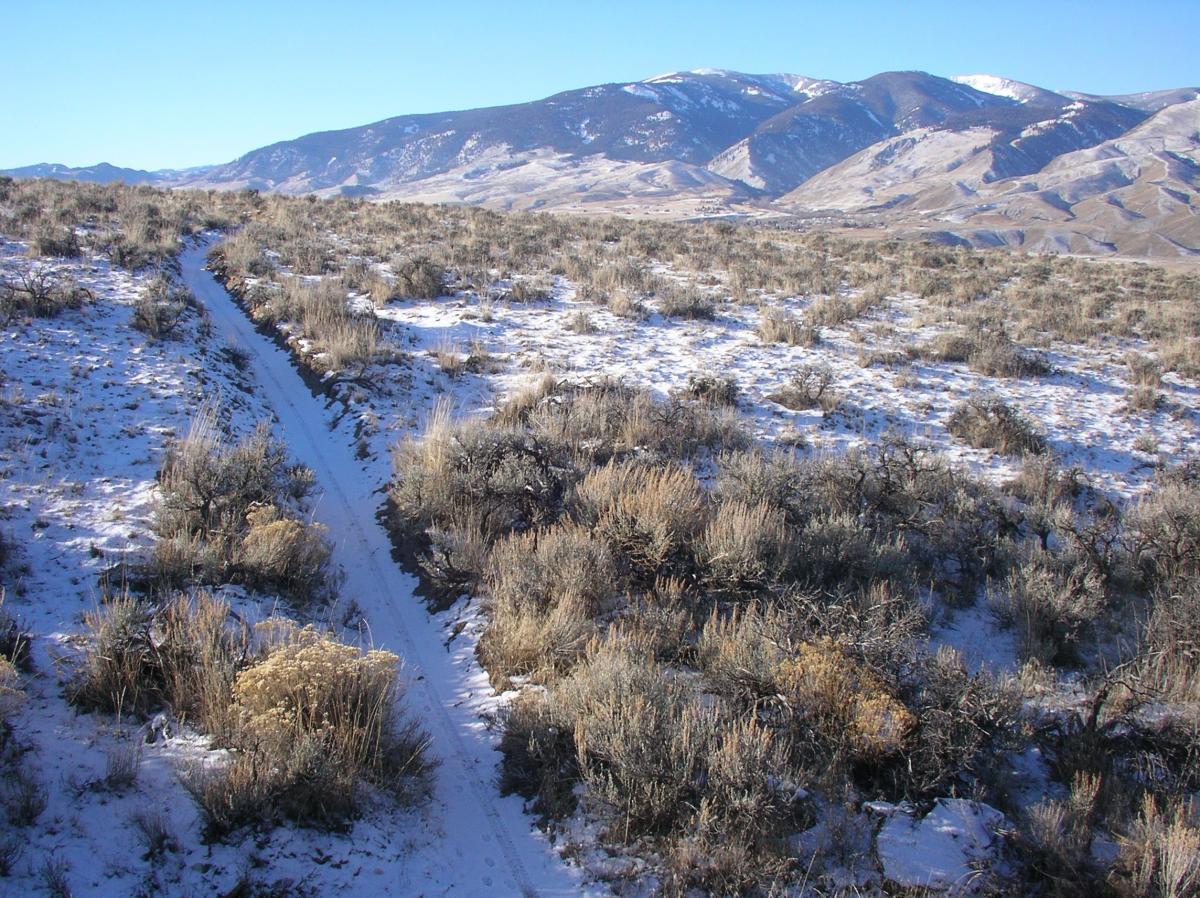 A snowy landscape featuring a narrow dirt trail winding through sparse vegetation, with low shrubs and patches of grass. In the background, rolling hills and mountains are visible under a clear blue sky. Discovery Hill Trails mountain bike trail.