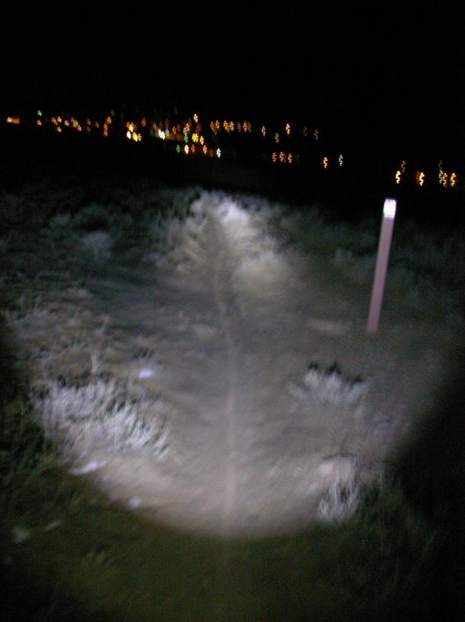 A dimly lit dirt trail illuminated by a flashlight, surrounded by sparse vegetation, with distant city lights twinkling in the background. A marker post can be seen to the right of the path. Discovery Hill Trails mountain bike trail.