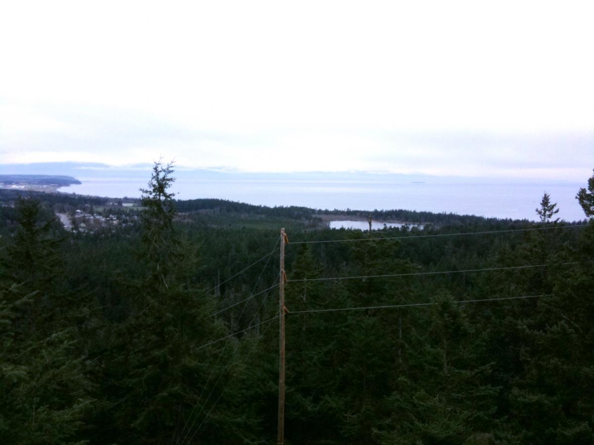 A scenic view of a coastline surrounded by forested hills and water. The landscape features a mix of evergreen trees in the foreground, with a glimpse of the water and distant land in the background under a cloudy sky. Power lines are visible in the lower part of the image. Deception Pass State Park Trails mountain bike trail.