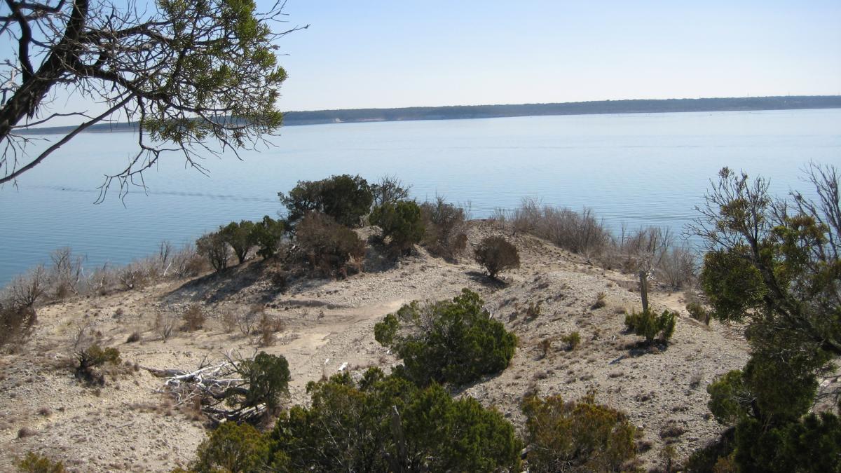 A serene landscape view featuring a calm lake surrounded by sparse vegetation and rocky terrain. In the foreground, green bushes and dry branches are visible on a sandy slope, while the background showcases a smooth water surface reflecting the clear blue sky. Dana Peak mountain bike trail.