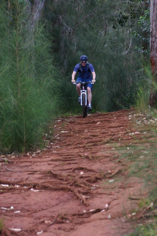 A person riding a mountain bike along a narrow, winding trail surrounded by dense greenery and trees. The path is slightly uneven, with visible roots and red soil. The cyclist is wearing a helmet and casual athletic attire. Aiea Heights Loop mountain bike trail.