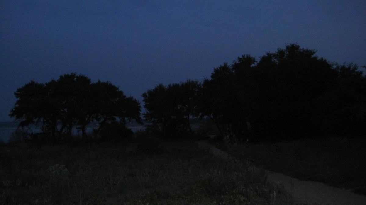 Silhouette of trees against a dark blue evening sky, with a winding path leading through grass. The scene conveys a serene, twilight atmosphere. Goodwater Trail mountain bike trail.