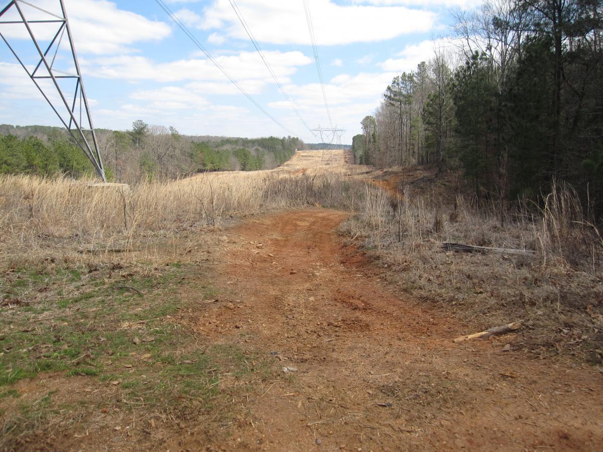 A dirt path runs through a landscape featuring tall grass and sparse trees, with power lines stretching overhead. The scene shows a clear sky with some clouds, and a wooded area lines the path on one side while an open, cleared area appears on the other side. South Rockdale Community Park mountain bike trail.