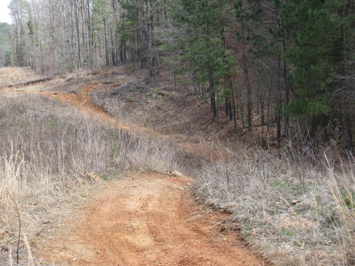 A winding dirt path surrounded by sparse trees and dry grass in a wooded area, leading through a natural landscape. South Rockdale Community Park mountain bike trail.