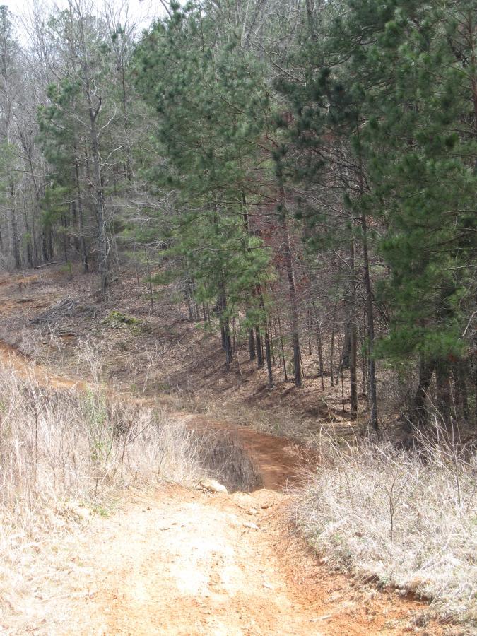 A dirt path winding through a wooded area, bordered by tall trees with green foliage and bare branches. The path appears slightly uneven, with patches of grass and dry brush along the sides. South Rockdale Community Park mountain bike trail.
