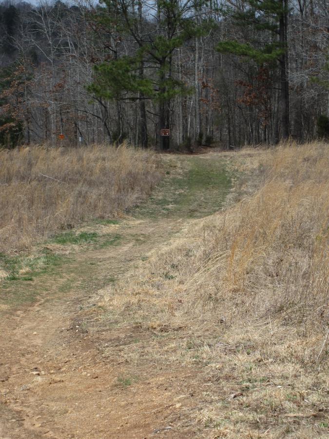 A dirt path leading into a forest, surrounded by tall grasses and sparse trees. The trail splits in the distance, with a signpost visible at the entrance to the woods. The scene is set on a cloudy day, giving a tranquil and natural atmosphere. South Rockdale Community Park mountain bike trail.
