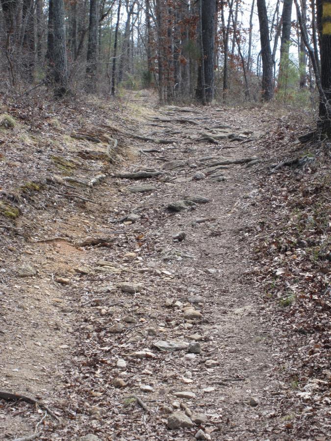 A rocky dirt path winding through a wooded area, lined with trees and scattered leaves. The trail shows visible wear, with exposed roots and stones along the edges, indicating it is frequently used. The scene captures a serene, natural setting perfect for hiking or exploring. South Rockdale Community Park mountain bike trail.