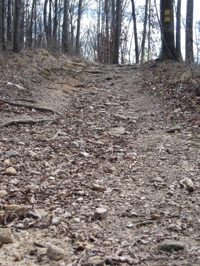 A rocky dirt path winding through a forest, surrounded by trees with bare branches and scattered leaves on the ground. The trail has a natural, uneven surface, leading uphill toward a cloudy sky. A yellow trail marker is visible on a tree trunk to the right. South Rockdale Community Park mountain bike trail.