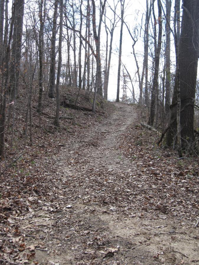 A winding dirt path leads through a wooded area, lined with tall, bare trees. The ground is covered with fallen leaves and scattered twigs, indicating the transition between seasons. The path slopes upward, suggesting a gentle incline into the forest. The atmosphere is tranquil and serene. South Rockdale Community Park mountain bike trail.