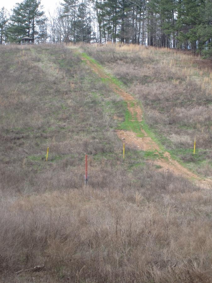 A grassy hillside with a dirt path leading up it, bordered by yellow markers, under a cloudy sky. Sparse vegetation covers the area, with evergreen trees visible in the background. South Rockdale Community Park mountain bike trail.