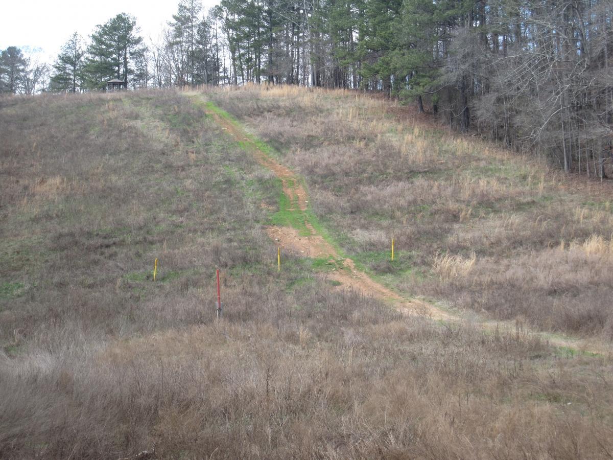 A dirt path leading up a grassy hill, bordered by sparse vegetation and scattered tall grass. Yellow and red markers are visible along the sides of the path, with a backdrop of trees in the distance. The scene is set in a natural, outdoor environment on a cloudy day. South Rockdale Community Park mountain bike trail.