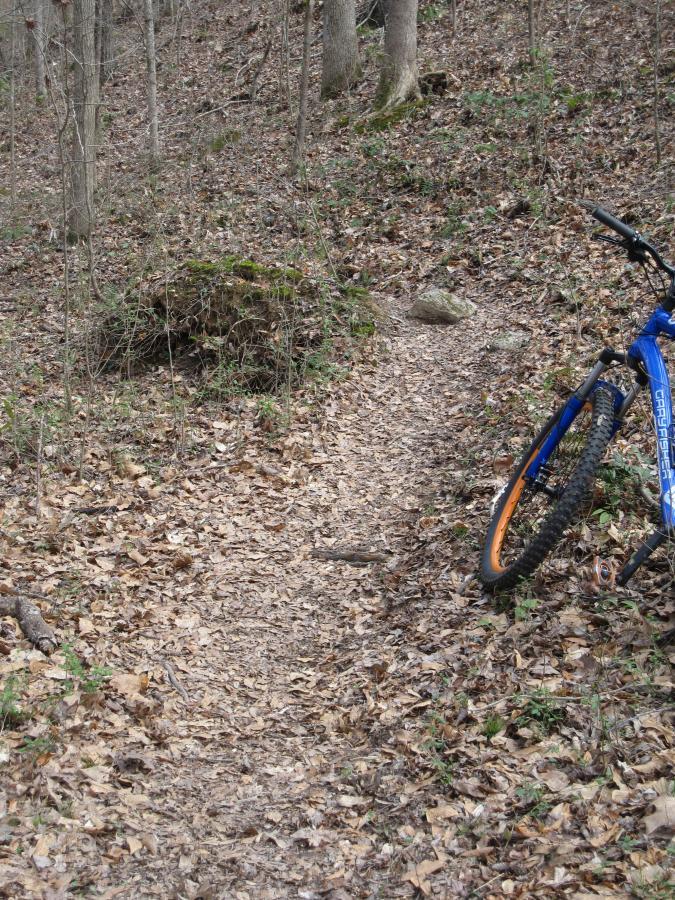 A blue mountain bike rests beside a dirt trail covered in fallen leaves, surrounded by trees and natural vegetation. The path winds into a wooded area, suggesting a tranquil outdoor setting for biking or hiking. South Rockdale Community Park mountain bike trail.