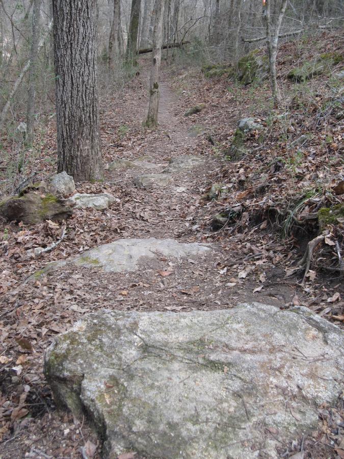 A narrow, winding dirt path through a forested area, lined with large rocks and scattered leaves. Tall trees with bare branches stand along the sides, creating a tranquil and natural atmosphere. South Rockdale Community Park mountain bike trail.