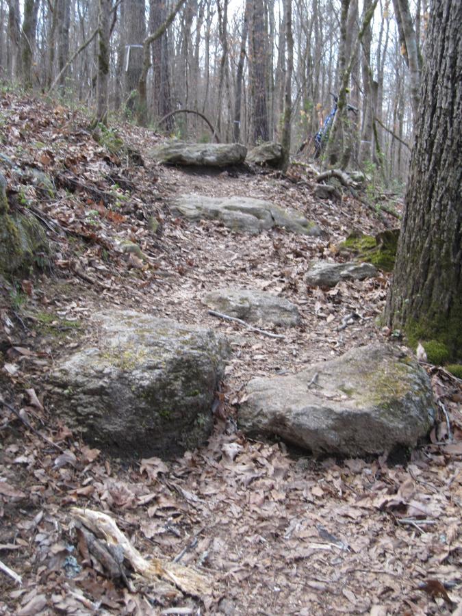 A winding trail through a wooded area, featuring scattered rocks and a carpet of fallen leaves. The path is flanked by trees with bare branches, suggesting an early spring or late autumn setting. South Rockdale Community Park mountain bike trail.