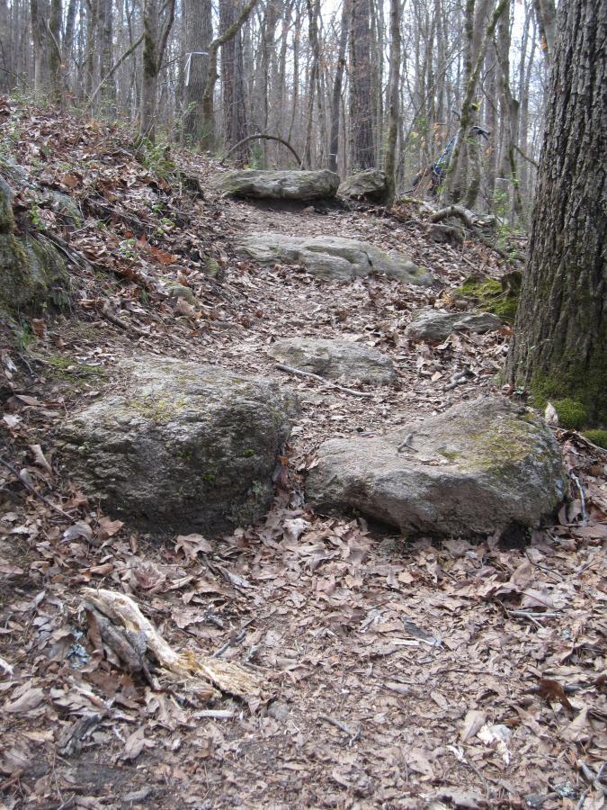 A rocky hiking path winding through a wooded area, surrounded by bare trees and scattered dry leaves on the ground. South Rockdale Community Park mountain bike trail.