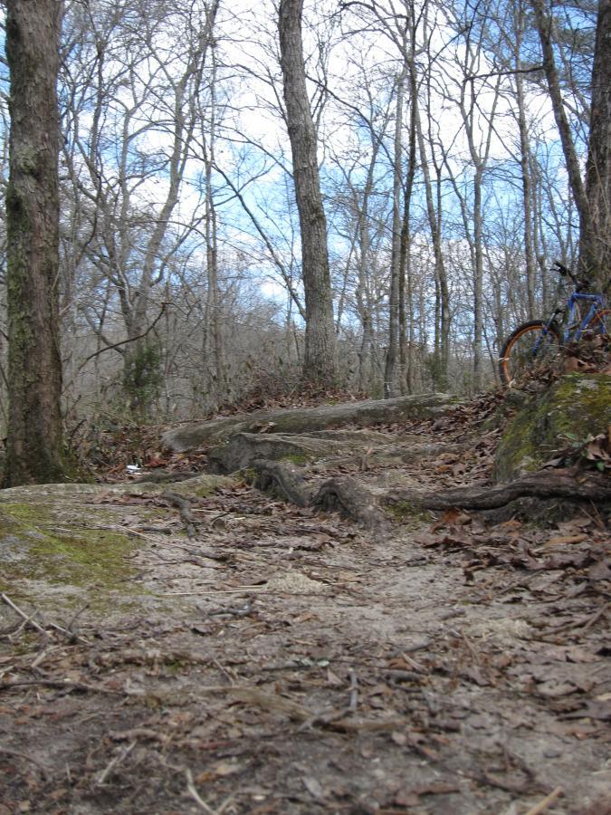 A narrow, rugged dirt path winding through a wooded area, surrounded by bare trees and scattered leaves. A mountain bike is visible on the right side, leaning against a tree. The sky above is partly cloudy, indicating a cool day. South Rockdale Community Park mountain bike trail.