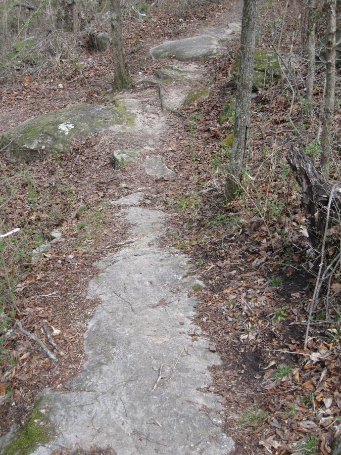 A narrow, rocky hiking path winding through a wooded area, surrounded by trees and scattered dry leaves. The trail is partially covered with moss and leads over exposed stones. South Rockdale Community Park mountain bike trail.