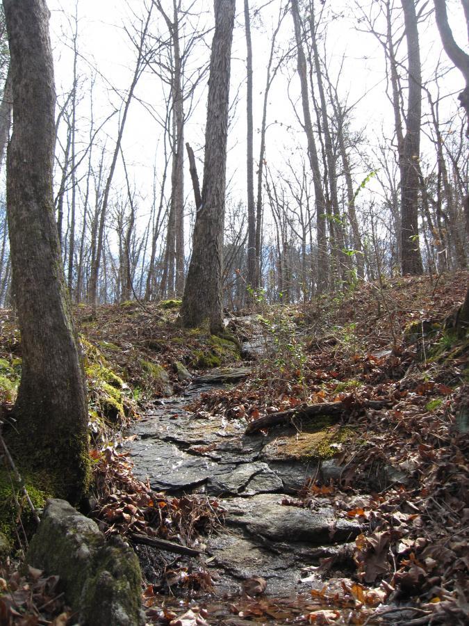 A rocky trail winding through a forest with bare trees and scattered fallen leaves, illuminated by soft natural light. South Rockdale Community Park mountain bike trail.