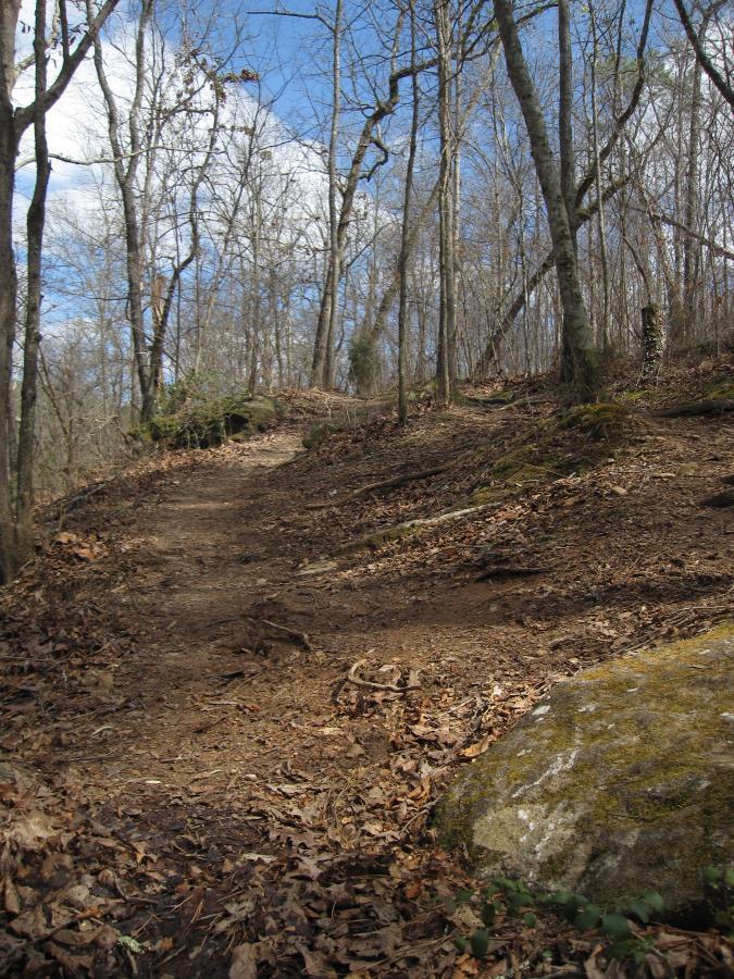 A winding dirt trail through a forested area, surrounded by bare trees and scattered leaves on the ground. A large moss-covered rock is visible on the right side of the path. The sky is blue with a few clouds, hinting at a serene outdoor setting. South Rockdale Community Park mountain bike trail.