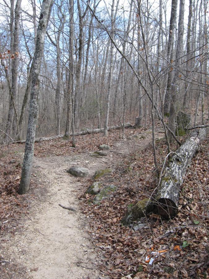 A winding dirt path through a forest, surrounded by bare trees and scattered rocks, with fallen logs and leaves covering the ground. The sky is partly cloudy, creating a serene natural landscape. South Rockdale Community Park mountain bike trail.