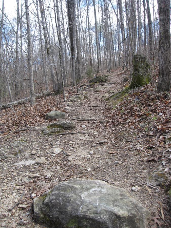 A dirt hiking trail winding through a forest, flanked by bare trees with scattered leaves on the ground and large rocks along the path. The sky is visible in the distance, indicating a clear day. South Rockdale Community Park mountain bike trail.