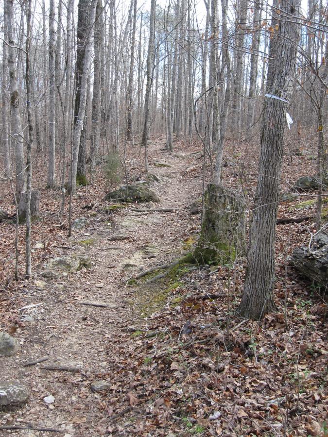 A narrow dirt trail meanders through a wooded area, surrounded by bare trees and scattered rocks. Brown leaves cover the ground, indicating a late autumn or early spring setting. The path is slightly uneven, with some exposed roots and rocks visible along the way. South Rockdale Community Park mountain bike trail.