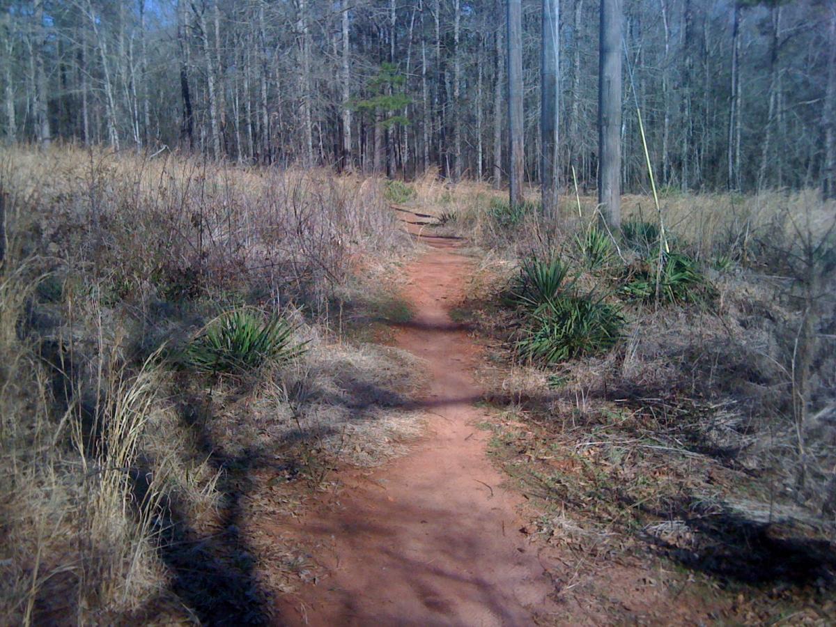 A narrow dirt path winding through a wooded area, flanked by dry grass and small green plants. The trees in the background are bare, suggesting a late winter or early spring season, with blue skies visible above. Lakeside Trail mountain bike trail.