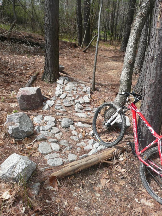 A narrow dirt bike trail runs through a wooded area, featuring a rocky pathway made of large stones and logs. A red mountain bike is parked beside the trail, with trees and fallen leaves in the background. Laurel Hill Park mountain bike trail.