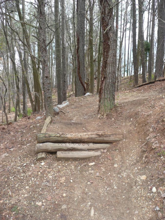 A dirt trail winding through a forest, with tall trees surrounding it. In the foreground, there are logs arranged as a small obstacle on the path. The ground is covered with soil and small pebbles, indicating a natural outdoor setting. Laurel Hill Park mountain bike trail.