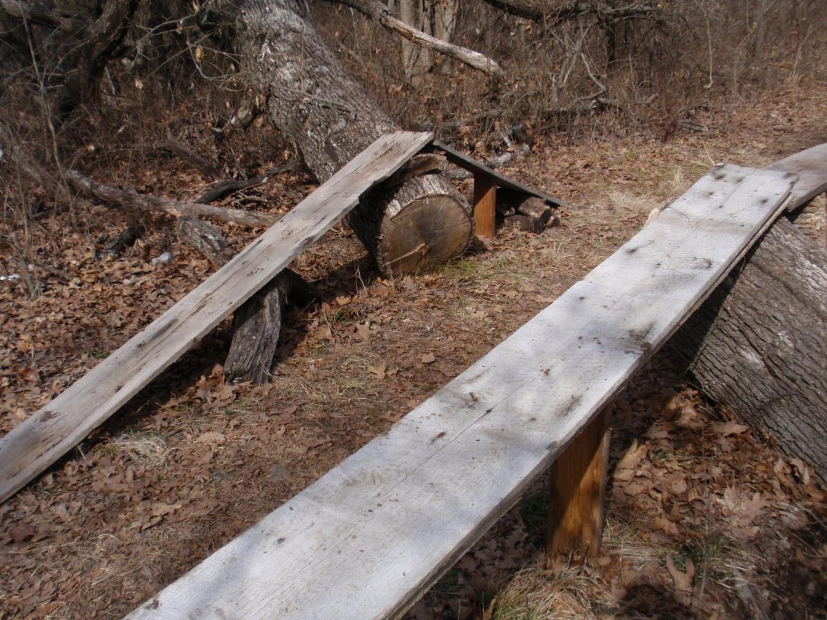 Two wooden planks lay across a fallen log in a forested area, surrounded by dry leaves and bare earth. The scene captures a rustic nature setting, indicating possible use as a makeshift path or seating area. Sac River Trail mountain bike trail.