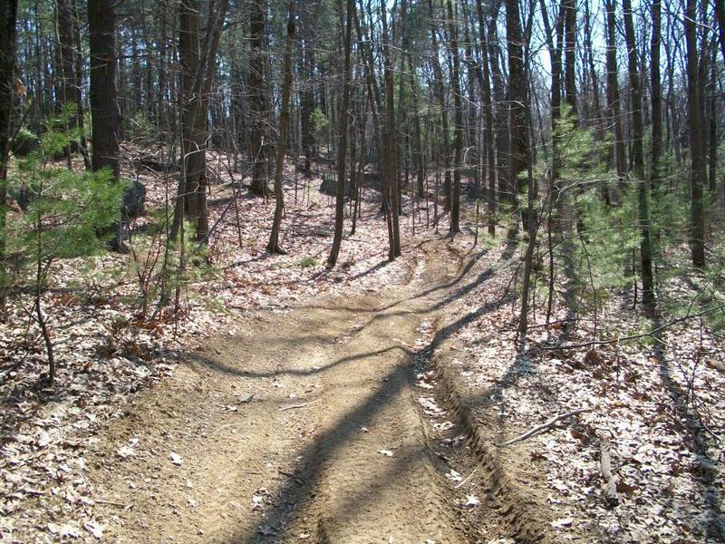 A dirt path winding through a forest, surrounded by trees with sparse leaves on the ground, suggesting early spring or autumn. Sunlight casts shadows on the path, creating a natural, tranquil atmosphere. Rayburn Trails mountain bike trail.
