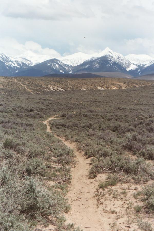 A winding dirt path leads through a sparse landscape of shrubs, with snow-capped mountains visible in the background under a cloudy sky. Discovery Hill Trails mountain bike trail.