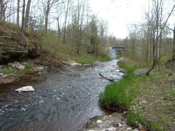 A tranquil stream flowing through a wooded area, with lush green grass and trees lining the banks. Smooth stones and a few scattered rocks are visible along the water's edge. In the background, a small bridge crosses over the stream, partially obscured by trees. The scene captures the serene beauty of nature in spring. Baird Creek mountain bike trail.