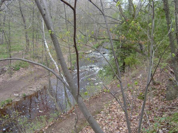 A tranquil stream flowing through a forested area, surrounded by trees with budding leaves and a leaf-covered ground. The scene captures a peaceful natural setting with water gently cascading over rocks. Baird Creek mountain bike trail.