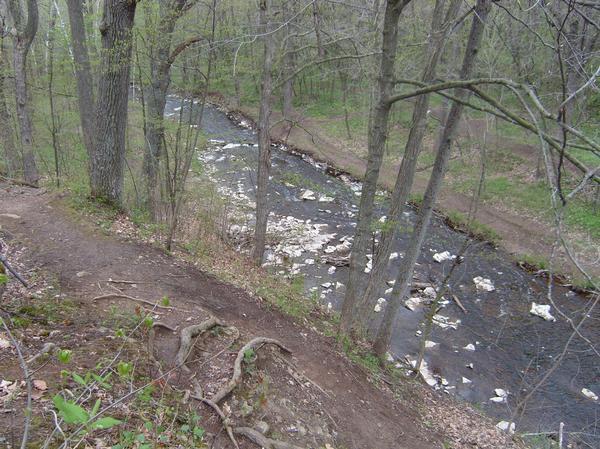 A tranquil view of a forested area with a winding creek. The water flows through a landscape of green grass and trees, with some white rocks visible along the banks. The image is taken from an elevated perspective, showing a dirt path lined with tree roots in the foreground. Baird Creek mountain bike trail.