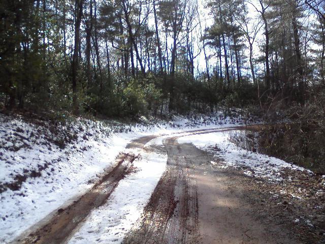 A winding dirt road surrounded by trees, with patches of snow on the ground. The road is partly muddy, indicating recent weather changes. Sunlight filters through the branches, creating a serene atmosphere in a natural setting. Bull / Jake Mountain mountain bike trail.