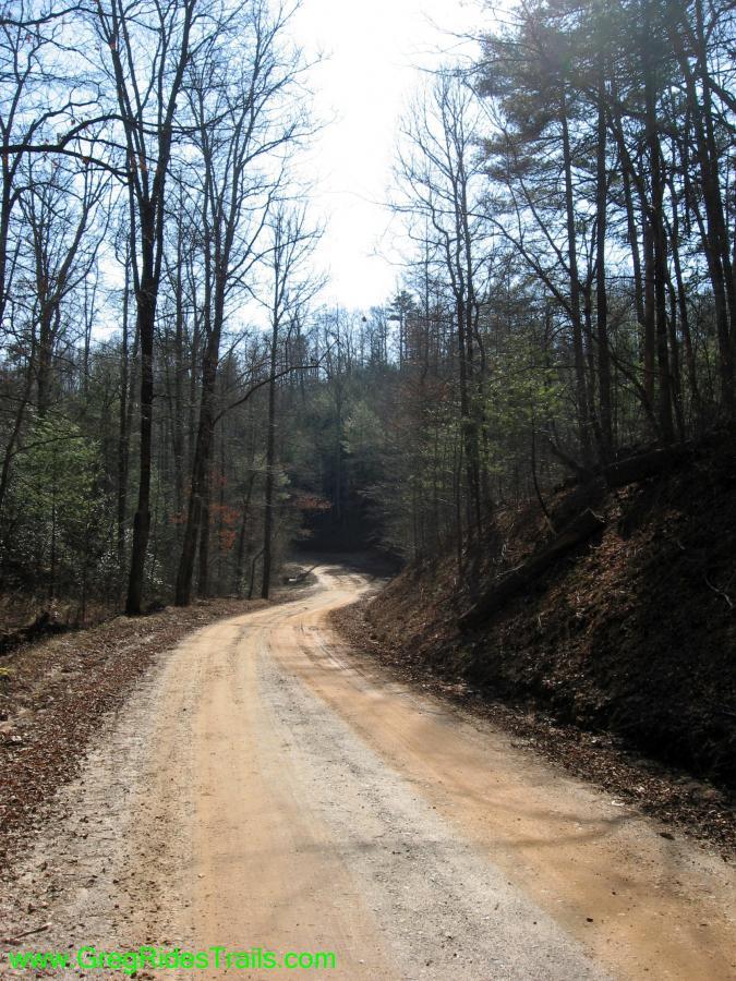 A winding dirt road surrounded by bare trees, leading into a forested area on a clear day. Sunlight filters through the branches, casting a serene atmosphere in the natural setting. Turner Creek Trail mountain bike trail.