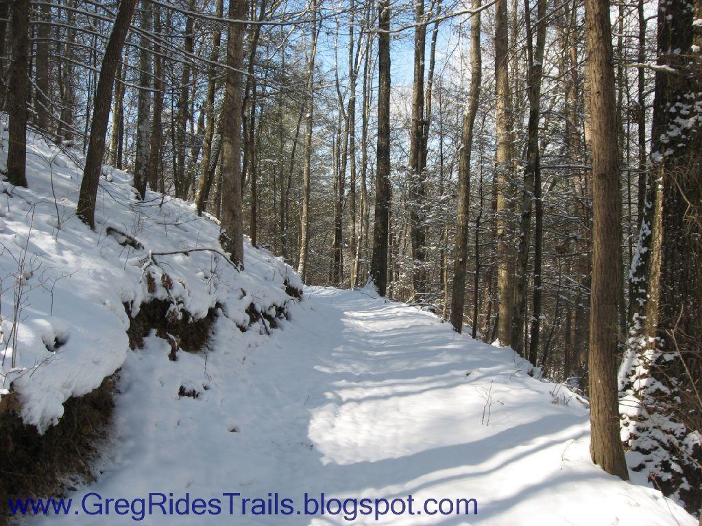 A snow-covered trail winding through a peaceful forest of tall trees, with sunlight filtering through the branches, creating a serene winter landscape. Fontana Village mountain bike trail.