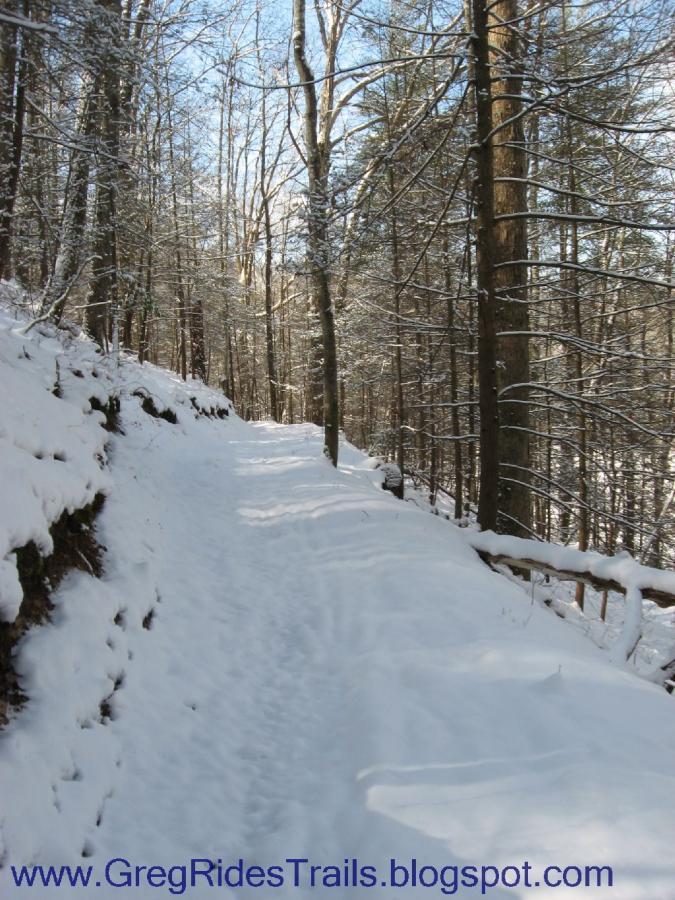 A snow-covered pathway winding through a forest, flanked by trees with bare branches and light dusting of snow. The sky is clear with sunlight illuminating the scene, creating a serene winter landscape. Fontana Village mountain bike trail.