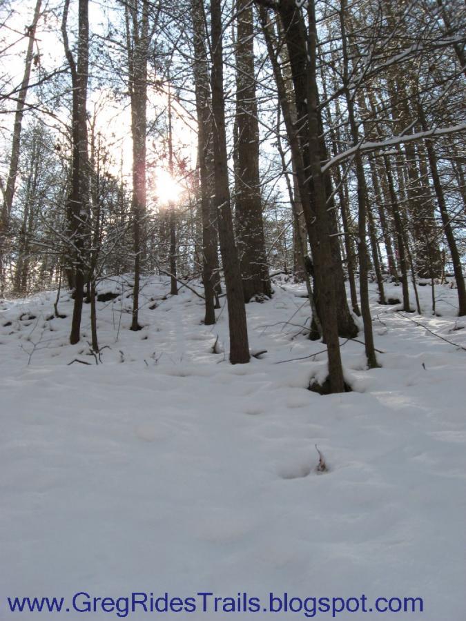 A snow-covered forest scene with tall trees, sunlight shining through the branches, and a serene, tranquil atmosphere. The ground is blanketed with white snow, creating a peaceful winter landscape. Fontana Village mountain bike trail.