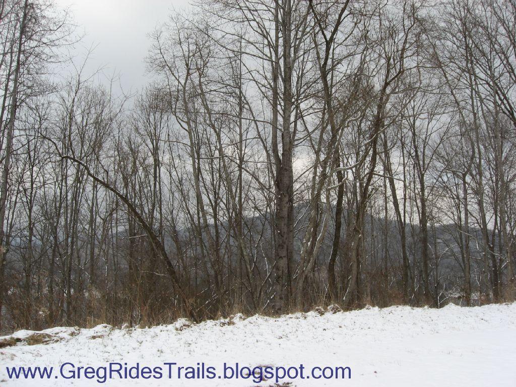 A winter landscape featuring bare trees against a cloudy sky, with a layer of snow covering the ground. The scene captures a serene, chilly atmosphere typical of a snowy day in the woods. Fontana Village mountain bike trail.