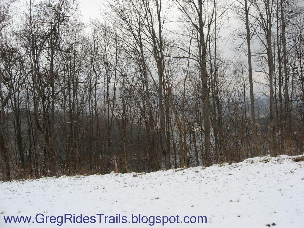A wintry landscape featuring a line of bare trees against a cloudy sky, with a foreground of snow-covered ground. The scene conveys a serene, cold atmosphere typical of winter in a forested area. Fontana Village mountain bike trail.