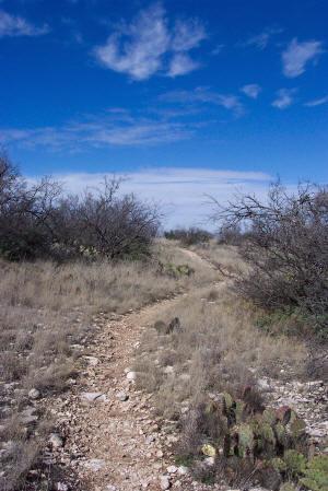 A winding dirt path leads through a grassy landscape dotted with cacti, framed by sparse vegetation and a bright blue sky with wispy clouds. San Angelo Trail mountain bike trail.