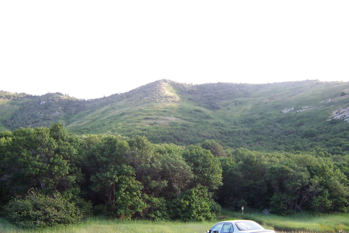 A scenic view of rolling green hills with trees in the foreground. A parked car is visible on the left side of the image, with sunlight illuminating the hilltops in the background. The sky appears bright and clear, indicating a sunny day. Northern Skyline mountain bike trail.