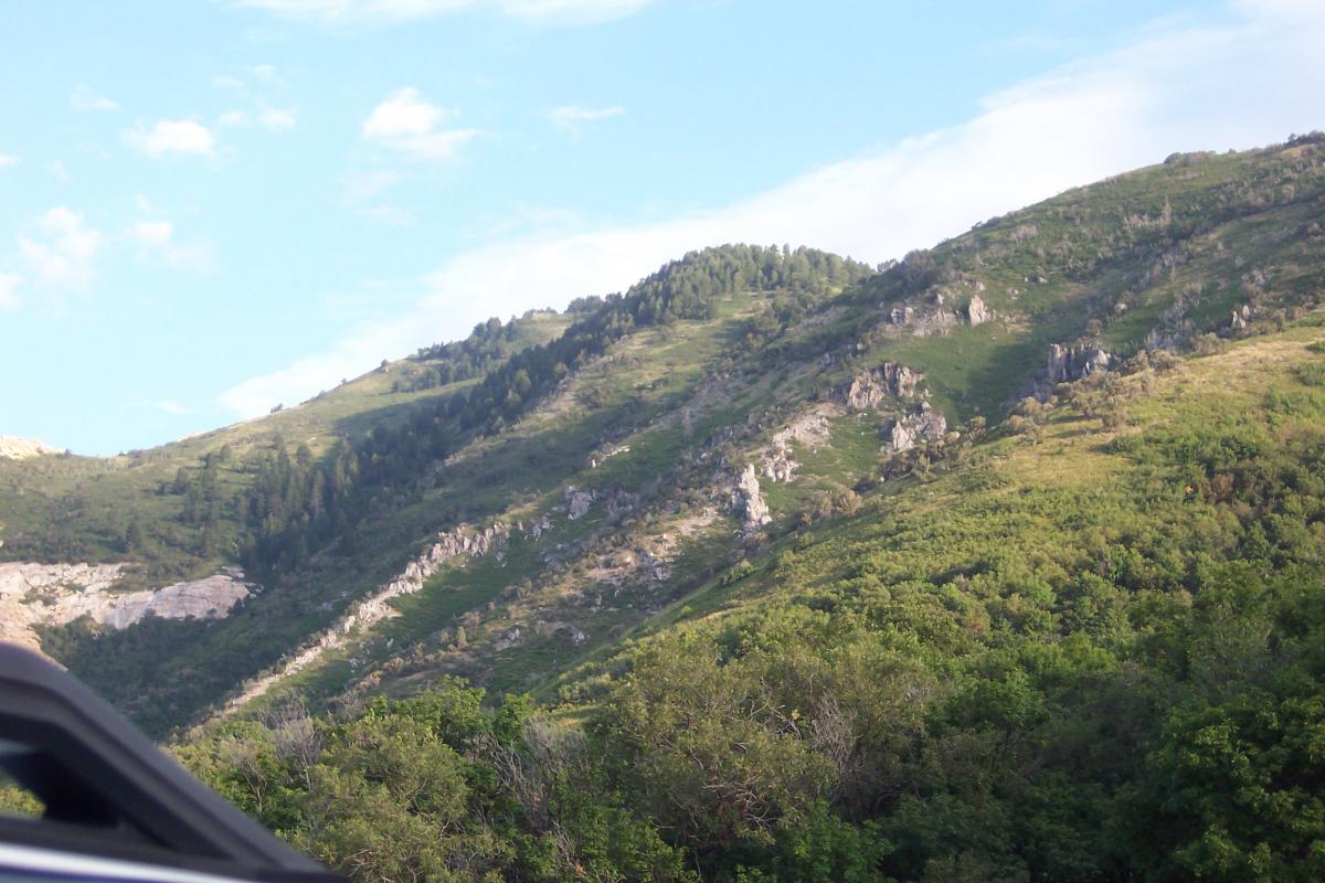 A scenic view of rolling green hills with rocky outcrops, under a partly cloudy sky. The landscape is dotted with trees and foliage, showcasing a tranquil natural setting. Northern Skyline mountain bike trail.