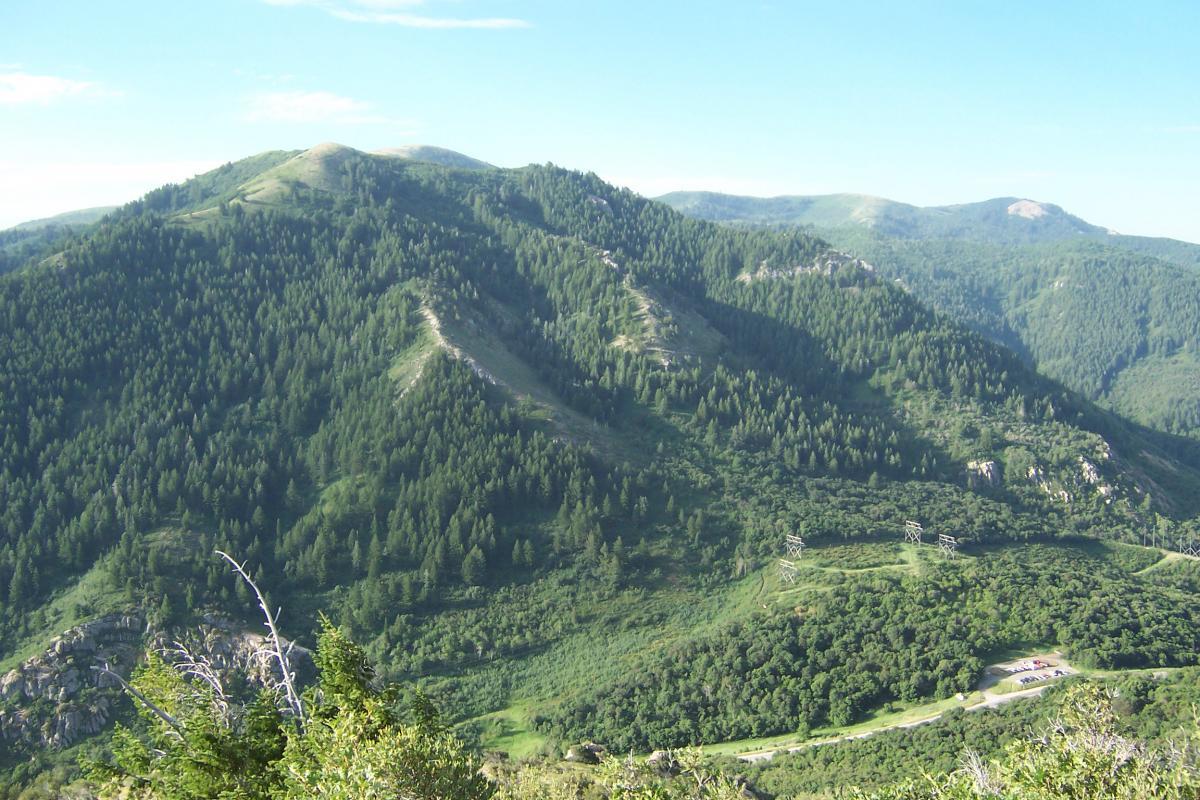 A scenic view of lush green mountains under a clear blue sky, showcasing rolling hills covered in pine trees and rocky landscapes. In the foreground, you can see a patch of road with a parking area at the base of the mountains. Northern Skyline mountain bike trail.