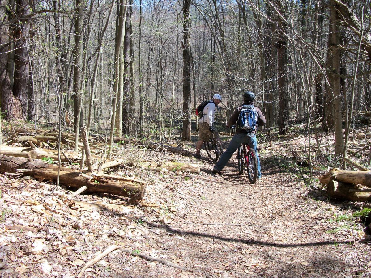 Two cyclists pause on a dirt trail surrounded by trees in a wooded area. The forest floor is covered with fallen leaves and small logs. One cyclist is wearing a white shirt and a helmet, while the other is dressed in dark clothing and has a backpack. Sunlight filters through the trees, indicating a clear day. Great Bear mountain bike trail.