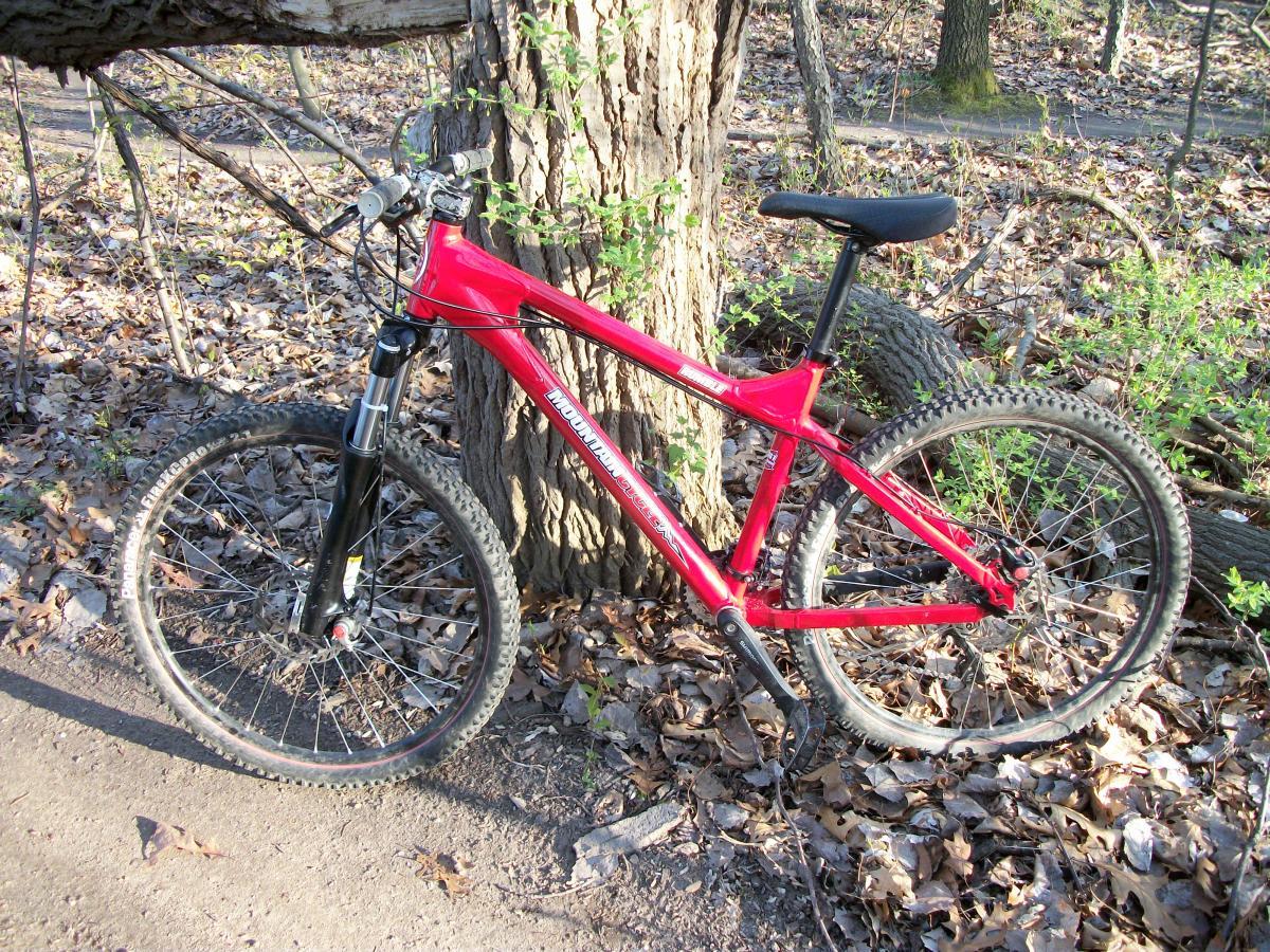 A red mountain bike leaning against a tree, surrounded by fallen leaves in a forested area with a dirt trail in the background. Dryer Road Park mountain bike trail.