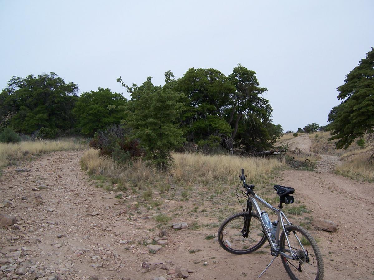 A mountain bike leaning against a rocky trail fork surrounded by tall grasses and scattered trees, under a cloudy sky. The left path appears more worn, while the right leads into a more wooded area. Brown Canyon mountain bike trail.