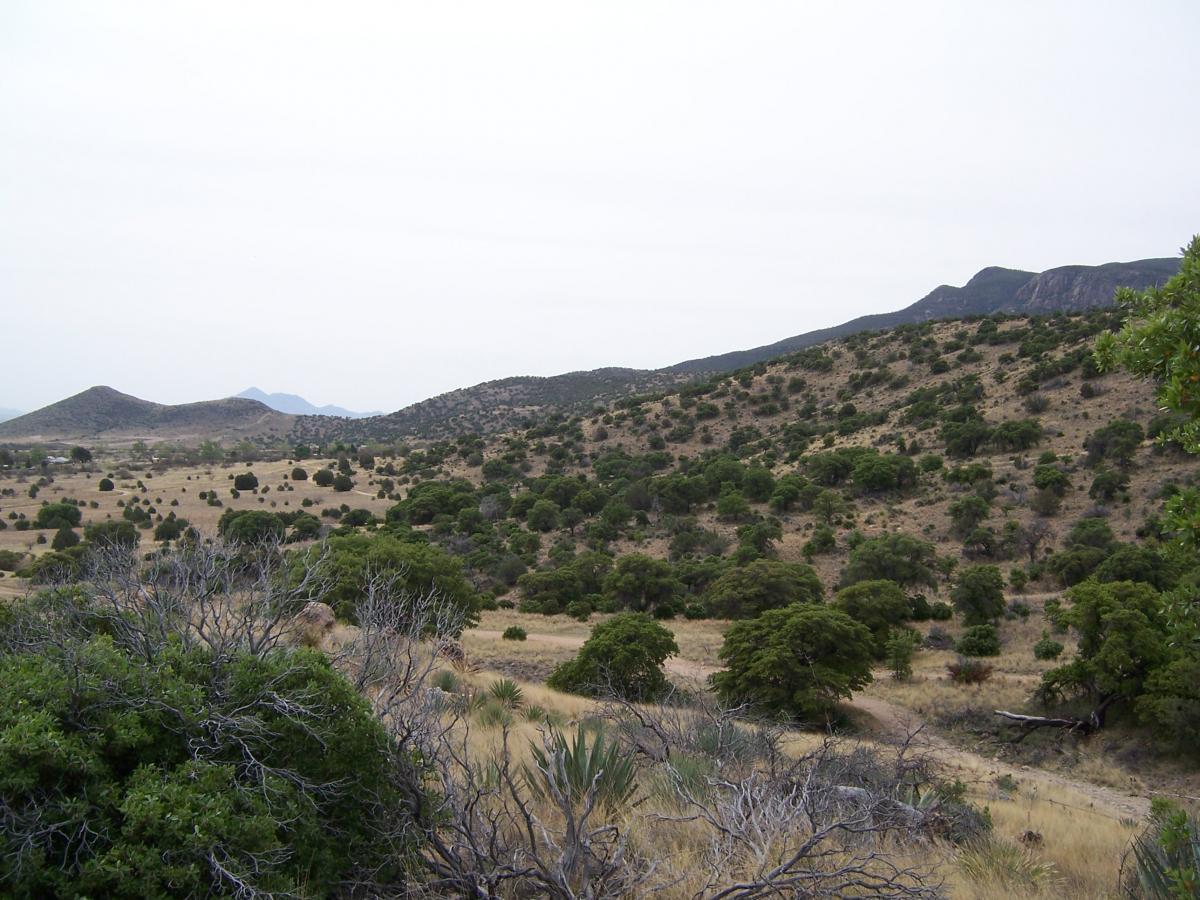 A panoramic view of a hilly landscape featuring dry grass and scattered green shrubs and trees under a cloudy sky. The distant mountains create a natural backdrop, enhancing the serene atmosphere of the scene. Brown Canyon mountain bike trail.